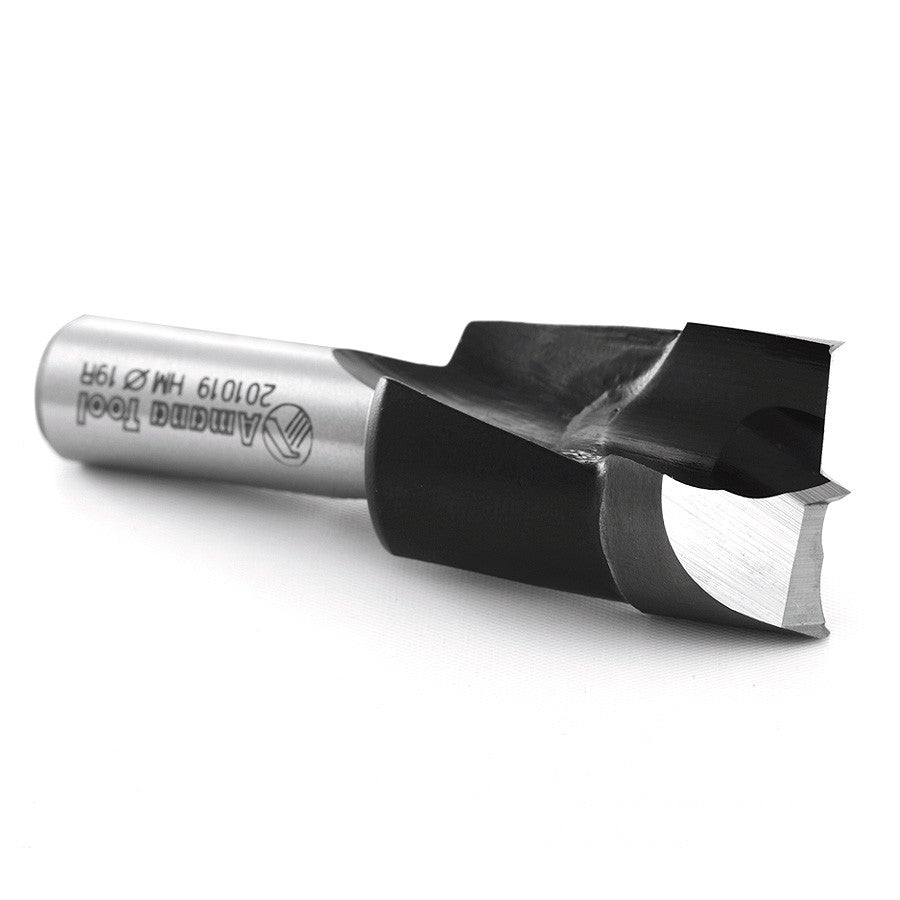 Amana Tool - 201019 - 19MM BORING BIT R/H 57MM LONG.