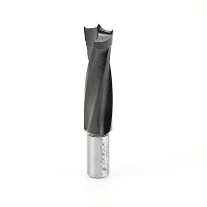 Amana Tool - 204013 - 1/2" BRAD POINT R/H 70MM LONG