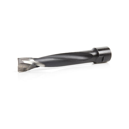 Amana Tool - 316034 - 12MM DOMINO BIT FOR DF700