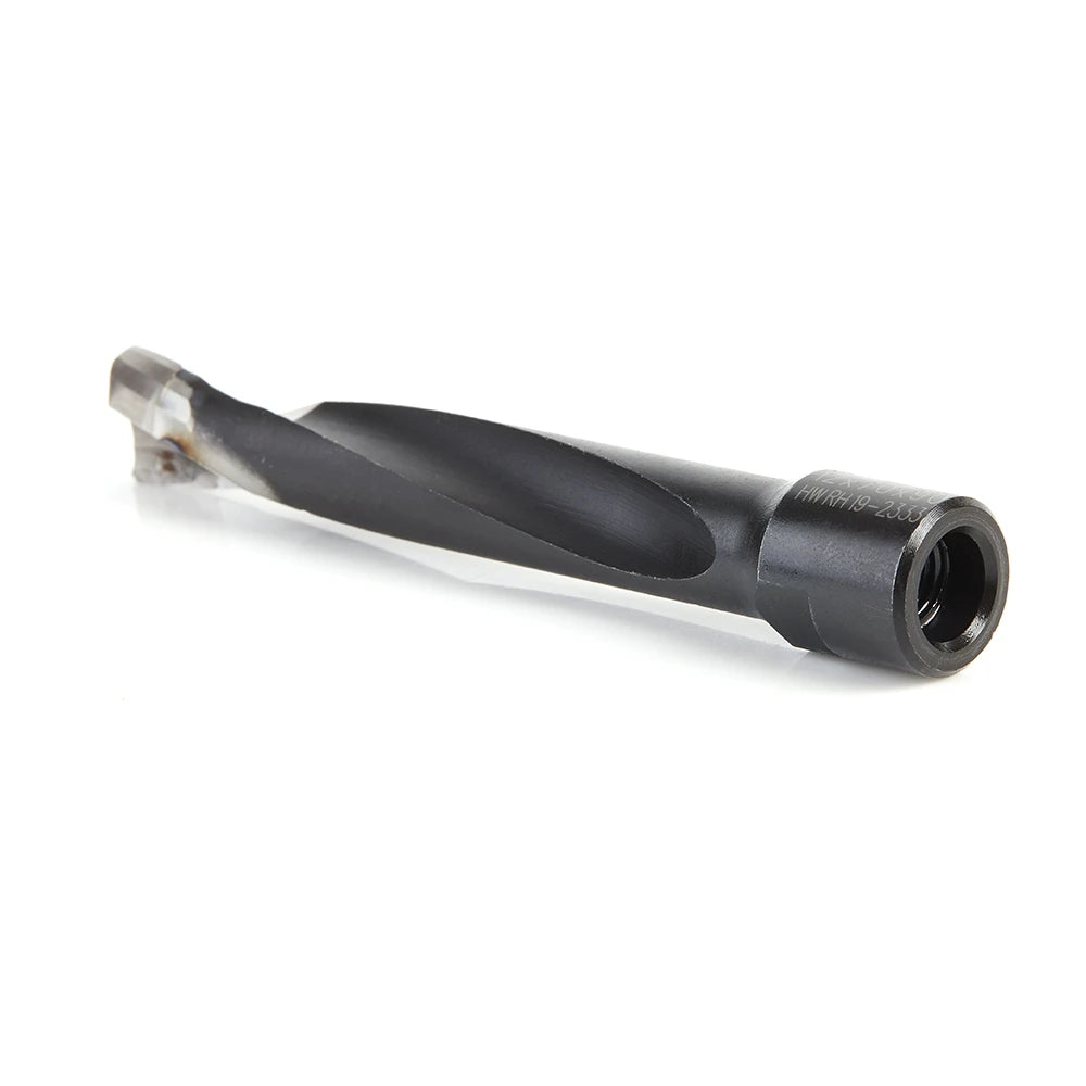 Amana Tool - 316034 - 12MM DOMINO BIT FOR DF700