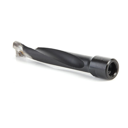 Amana Tool - 316034 - 12MM DOMINO BIT FOR DF700
