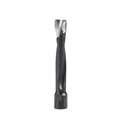 Amana Tool - 316034 - 12MM DOMINO BIT FOR DF700