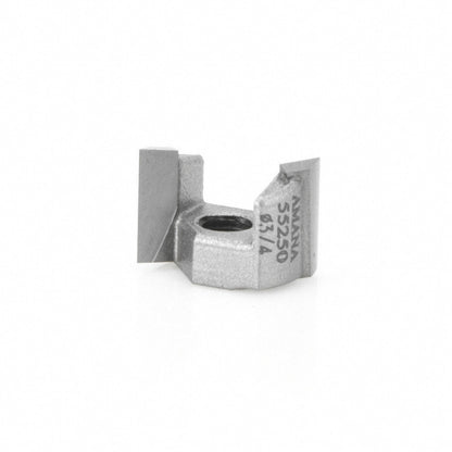 Amana Tool - 55250 - MORTISING SCREW TYPE 3/4 DIA.