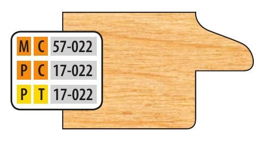 FREEBORN - PT-17-022 - T-ALLOY DOOR EDGE DETAIL Shaper Cutter
